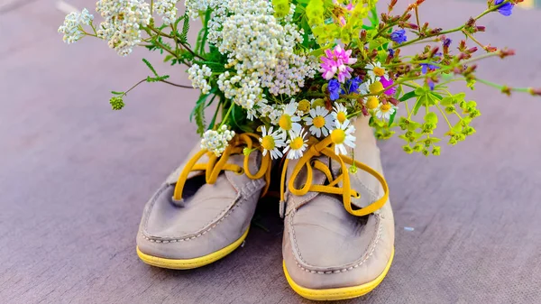 Ramo Flores Silvestres Con Predominio Manzanilla Zapatos Hombre Mujer — Foto de Stock