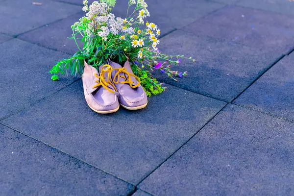 Bouquet Fleurs Sauvages Avec Une Prédominance Camomille Dans Les Chaussures — Photo