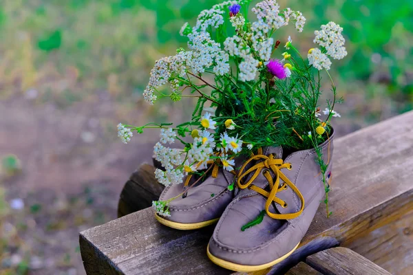Ramo Flores Silvestres Con Predominio Manzanilla Zapatos Hombre Mujer — Foto de Stock