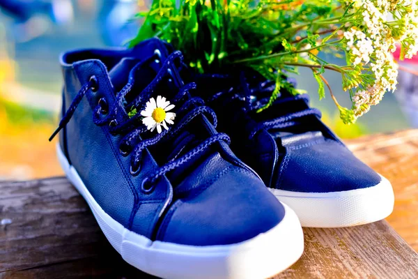 Bouquet Fleurs Sauvages Avec Une Prédominance Camomille Dans Les Chaussures — Photo