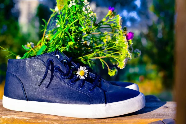 Bouquet Fleurs Sauvages Avec Une Prédominance Camomille Dans Les Chaussures — Photo