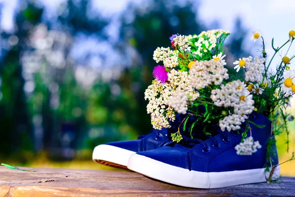 Ramo Flores Silvestres Con Predominio Manzanilla Zapatos Hombre Mujer — Foto de Stock