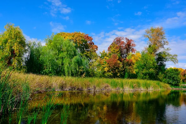 小池塘附近的阳光明媚的秋天景观 — 图库照片