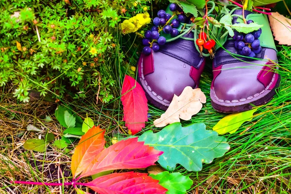 Naturaleza Muerta Las Plantas Otoño Roble Rosa Mosqueta Uvas Hojas — Foto de Stock