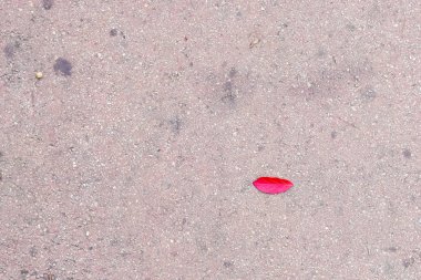 Sonbahar yaprakları ağaçlarda ya da yerde 