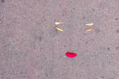 Sonbahar yaprakları ağaçlarda ya da yerde 