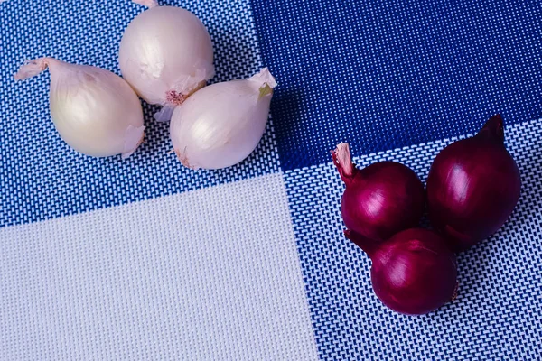 red onion and white onion on a background divided into four parts