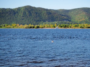 Yazın çeşitli şekillerde doğa, manzara ya da hayvanlar 