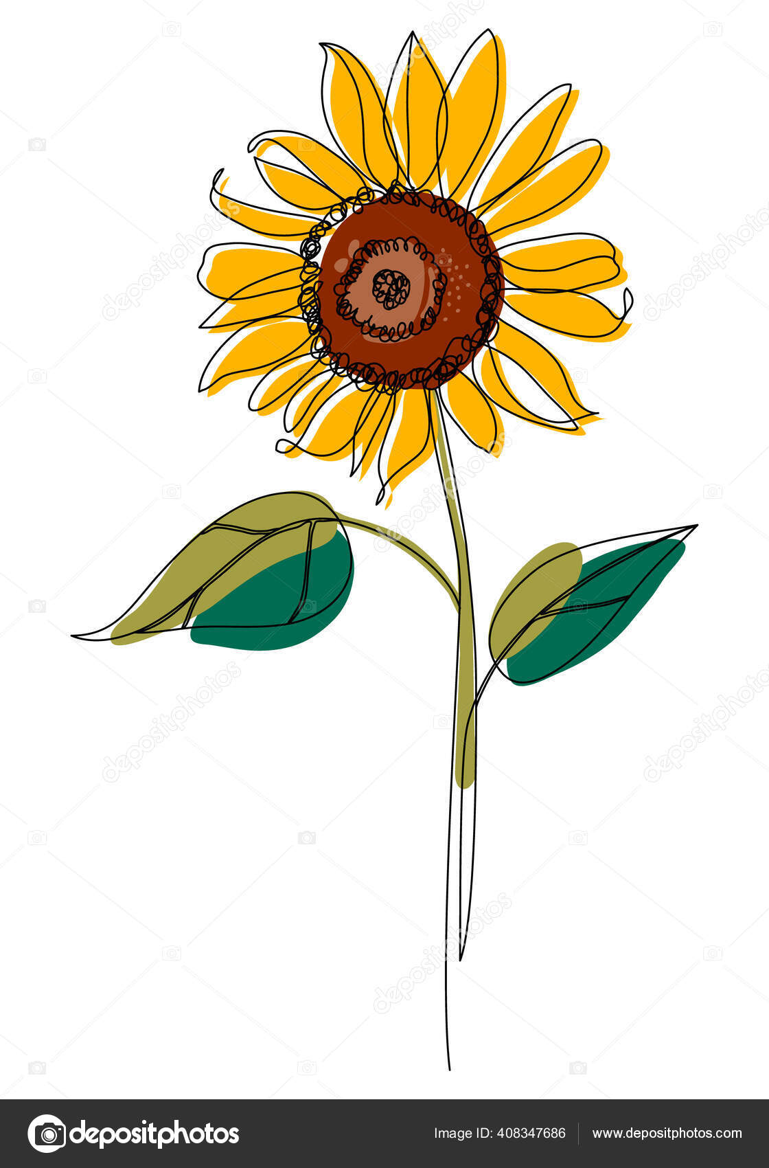 Sunflower outlet line drawing