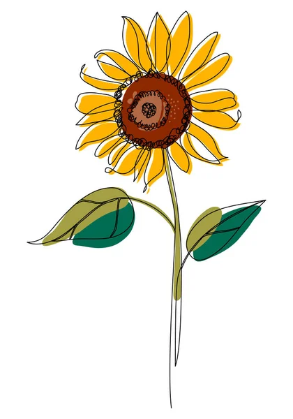 Seni garis bunga matahari. Minimalis kontur gambar. Satu baris karya seni Stok Ilustrasi Bebas Royalti