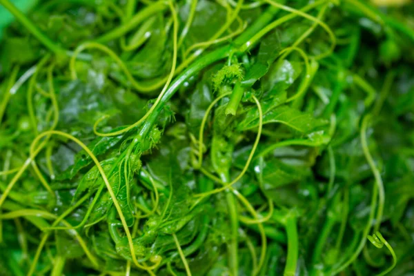Herba Passiflorae Food — Stock Photo, Image