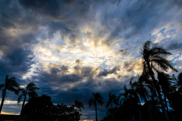 Dramatisch Dunkel Bewölkter Himmel Und Sonne Über Kokospalmen Und Palmen — Stockfoto