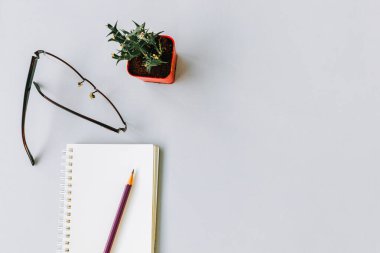 Düz uzanış, Üst görünüm ofis masası, çalışma alanı defter, kalem, gözlük ve kaktüs ağacı, kopyalama alanı