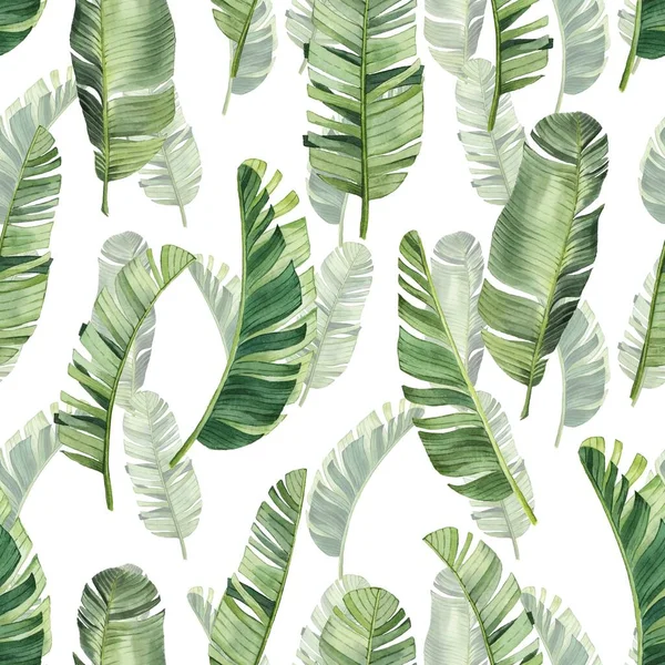 Pattern Beautiful Watercolor Tropical Leaves Tropics Realistic Tropical Leaves White — Stock Photo, Image