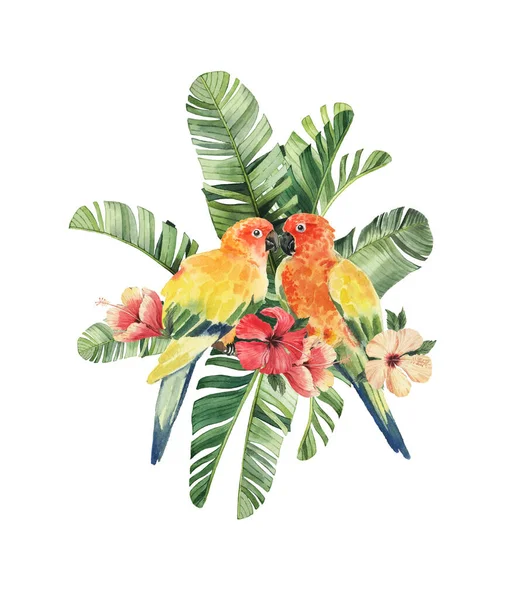 Print with beautiful watercolor parrots and tropical leaves. Tropics. Realistic tropical leaves. Tropical birds.  Isolated on white background