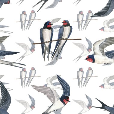 Şirin kırlangıçlarla suluboya deseni. Beyaz bir arka planda. Kusursuz desen