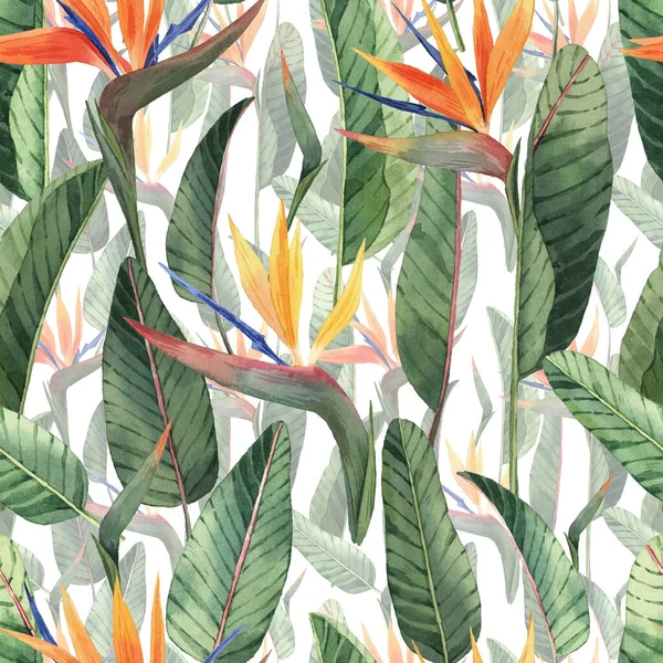 图案与美丽的水彩斑斓的热带花和树叶 热带地区 现实的热带树叶 热带花 白色背景 — 图库照片