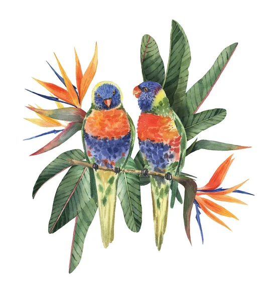 用美丽的水彩画鹦鹉和热带树叶印刷 热带地区 现实的热带树叶 热带鸟类 因白人背景而被隔离 — 图库照片