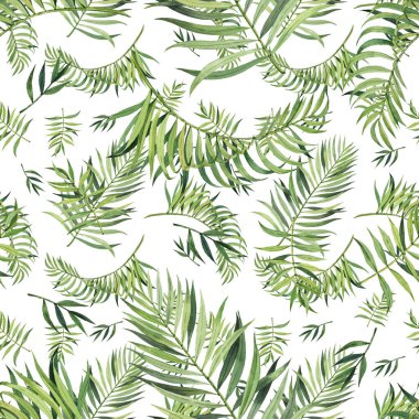 Güzel suluboya tropikal yapraklı desen. Tropik bölgeler. Gerçekçi tropik yapraklar. Beyaz arkaplanda