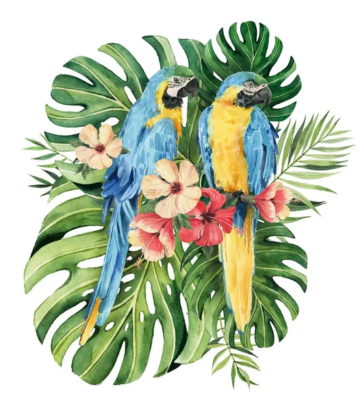 Печать Красивыми Акварельными Попугаями Листьями Арахиса Тропики Реалистичные Тропические Листья — стоковое фото