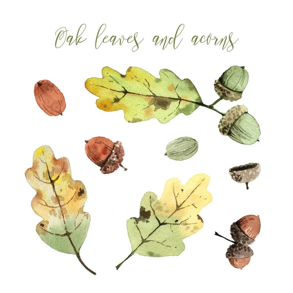 Watercolor Set Bright Oak Autumn Leaves Acorns Isolated White Background — Stock Photo, Image