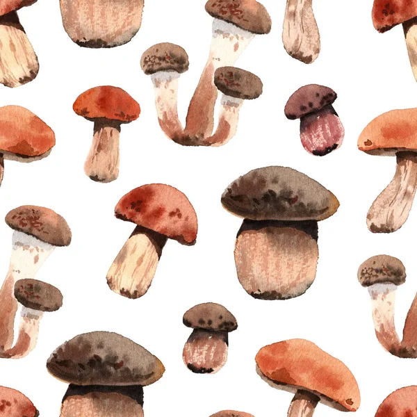 Padrão Aquarela Com Cogumelos Comestíveis Brilhantes Outono Fundo Branco — Fotografia de Stock