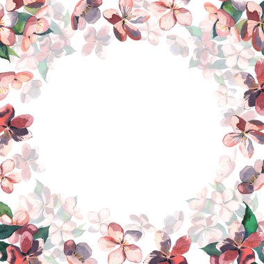 Bir Sakura ağacının suluboya şeklinde çiçek açan bir dalı. Çerçeve şeklinde bir resim..