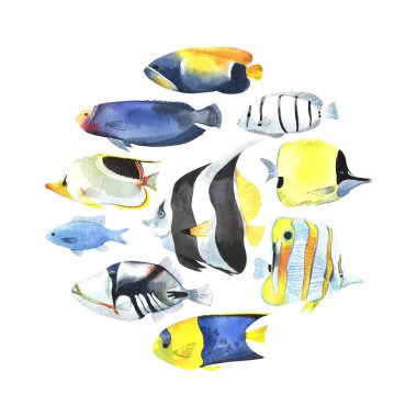 Sulu renkli tropikal balıklı yuvarlak baskı. Beyaz arkaplanda izole nesneler