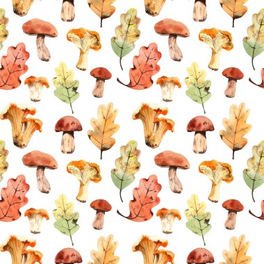 Suluboya meşe yaprakları ve mantarlı desen. Beyaz bir arkaplanda