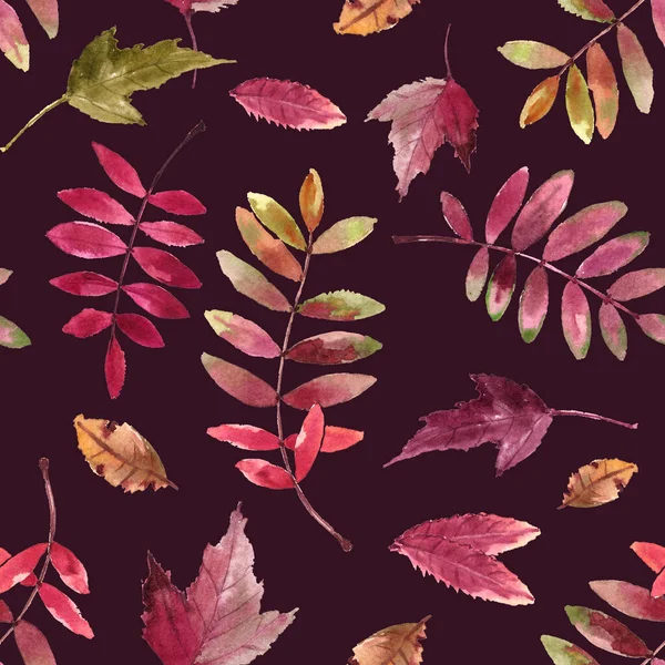 Aquarel Patroon Met Heldere Herfstbladeren Geïsoleerd Kersenachtergrond — Stockfoto