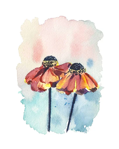 Two Bright Orange Flowers Gentle Background Watercolor Style Isolated Object — Stock Photo, Image