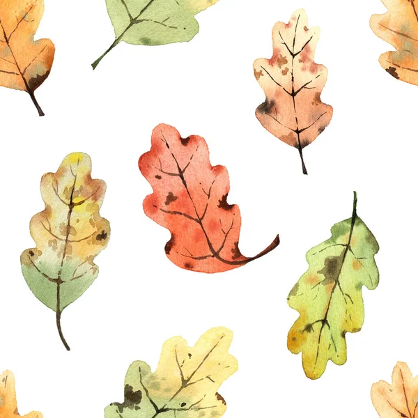 Muster Mit Aquarellierten Eichenblättern Auf Weißem Hintergrund — Stockfoto