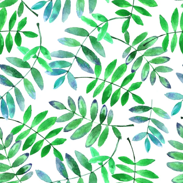 Watercolor Pattern Bright Green Leaves Isolated White Background — Stock Photo, Image