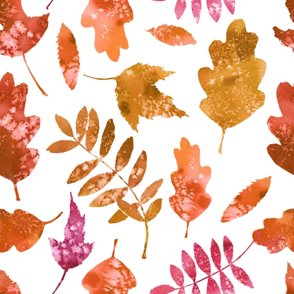 Akvarel Vzor Jasnými Podzimními Listy Izolované Bílém Pozadí — Stock fotografie