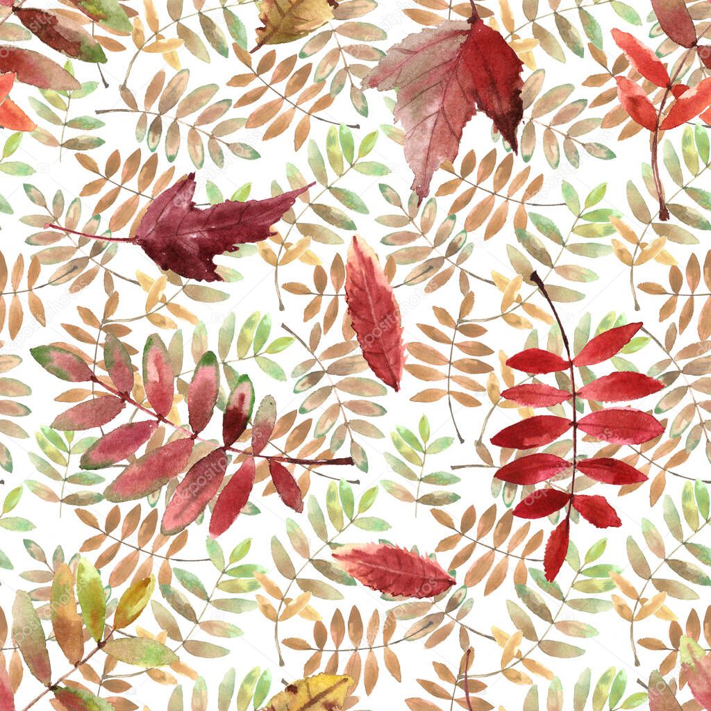 Watercolor pattern with bright autumn leaves isolated on white background