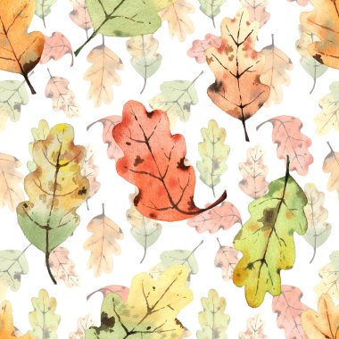 Suluboya meşe yapraklı desen. Beyaz bir arkaplanda