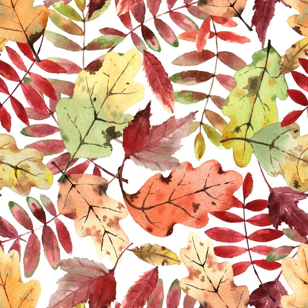 Watercolor pattern with bright autumn leaves isolated on white background