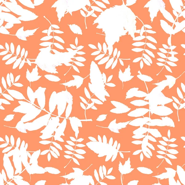 Patroon Met Witte Heldere Herfstbladeren Geïsoleerd Oranje Achtergrond — Stockfoto