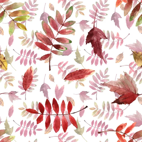 Wzór Akwarela Jasnym Jesienią Liście Izolowane Białym Tle — Zdjęcie stockowe