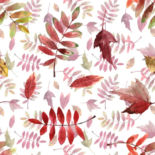 Watercolor pattern with bright autumn leaves isolated on white background