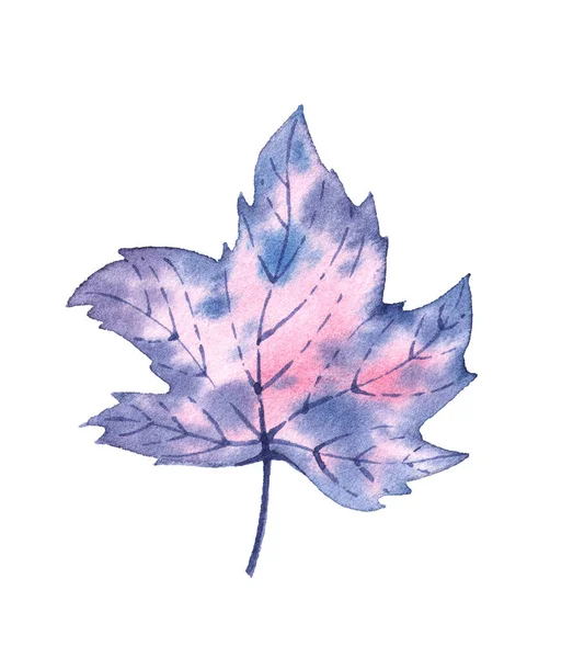 Set Watercolor Winter Leaves Frozen Autumn Isolated White Background — Stock Photo, Image