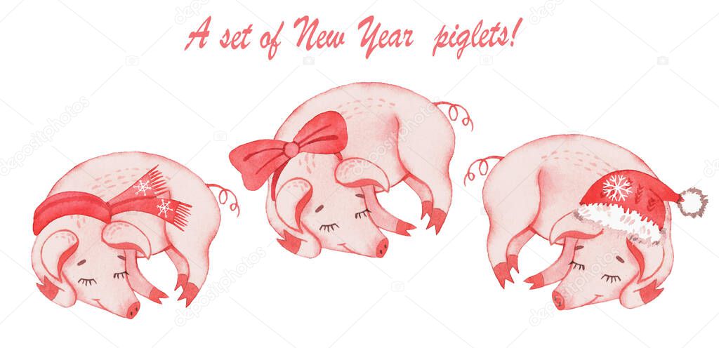 Set with New Year piglets in watercolor style. Christmas. Postcards. Isolated on white background