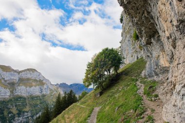 İsviçre Alpleri. Appenzell, Ebenalp. Swiss apls Hiking trail.