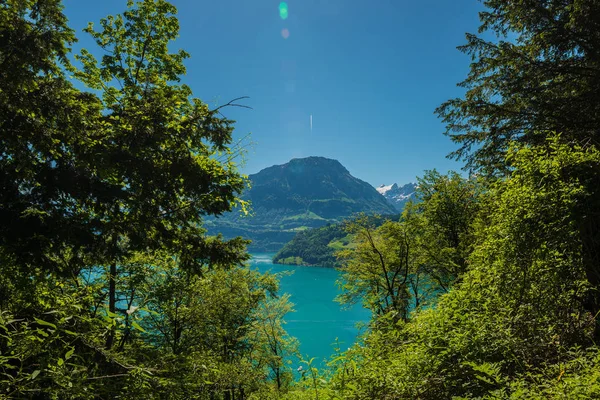 卢塞恩湖 布鲁宁瑞士 — 图库照片