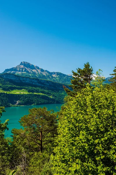 卢塞恩湖 布鲁宁瑞士 — 图库照片