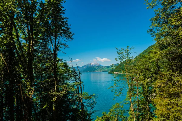 Озеро Люцерн Бруннен Швейцария — стоковое фото