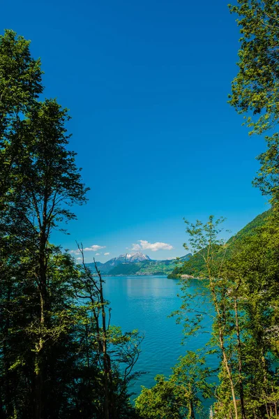 Озеро Люцерн Бруннен Швейцария — стоковое фото