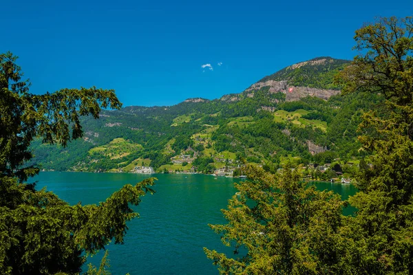 卢塞恩湖 格索瑞士 — 图库照片