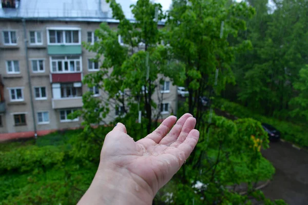 Rain drips on an elderly woman\'s hand. Rain drops bounce off. Blurred background.