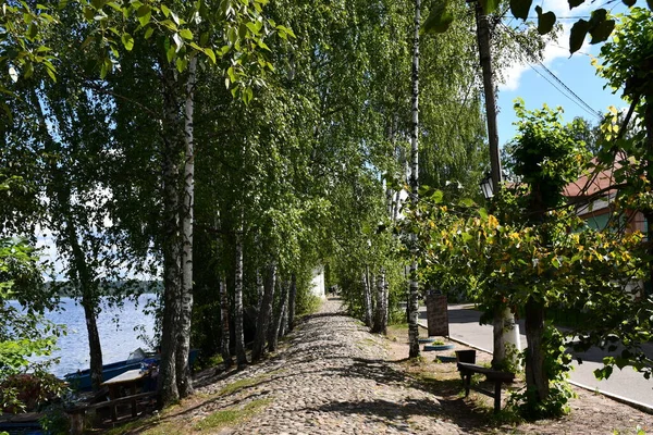 An alley along the river. The path is lined with paving stones. Birches on the banks of the river.